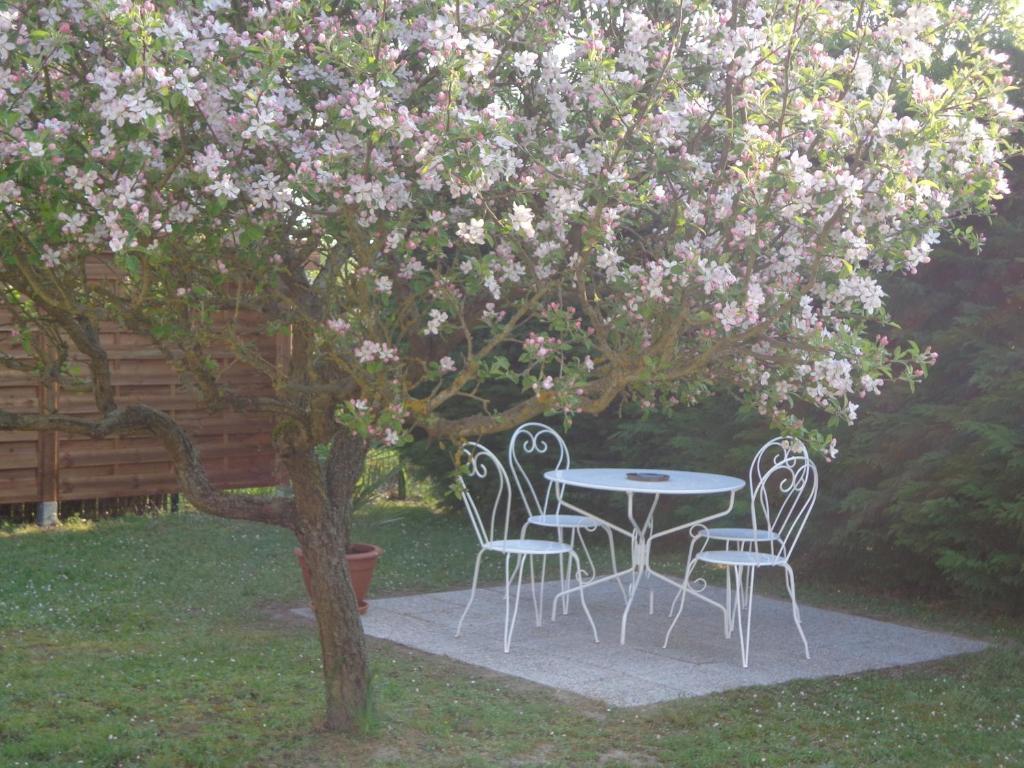 La Grille Doree Amboise Zewnętrze zdjęcie